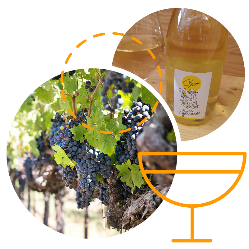 Illustration des types de produits chez les Ouiches Nantaises, épicerie éthique.