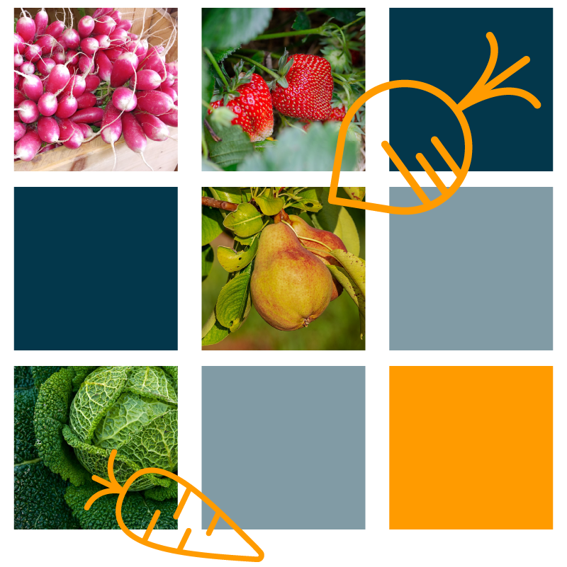 Illustration des types de produits chez les Ouiches Nantaises, épicerie éthique.