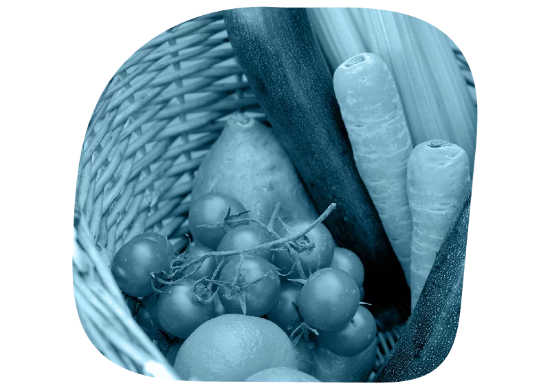 Illustration du bloc de présentation de la page d'accueil des Ouiches Nantaises, épicerie éthique : les aliments.